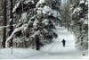 Thumb_5b sports - winter trek